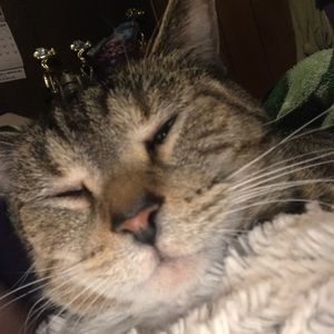 Meet your Posher, April